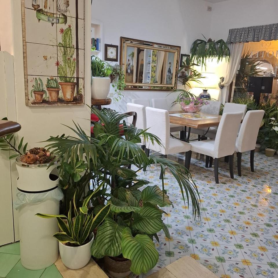 Hotel Villa Verde Forio di Ischia Kültér fotó